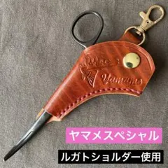 Item thumbnail for item 690df111-4a9b-4042-96d8-e49b8b8a8a5b