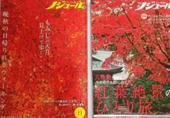 Item thumbnail for item 306bc4a5-0161-41c1-9427-443c6fd91433