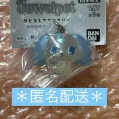 ジュエルペット めじるしアクセサリー キラキラオーロラver. 【サフィー】