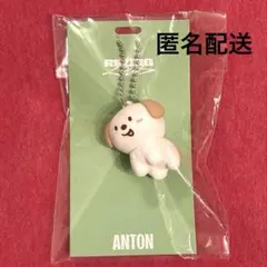 アントン　ラバーキーホルダー　モンリョンイ　RIIZE