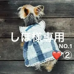 犬服ハンドメイド Happycharm様 ハンドメイド犬服 ♡5malu♡様専用 - メルカリ