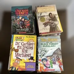 洋書30冊　英語児童書　コラージュ　ジャーナル　ジャンクジャーナル　まとめ売り