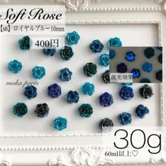 【s6】ソフトローズミックス ロイヤルブルー 30g…400円