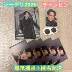 Straykids スキズ シーグリ 2026 トレカ ステッカー　チャンビン