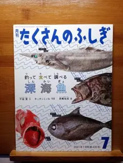 月刊たくさんのふしぎ「釣って食べて調べる深海魚」 - メルカリ