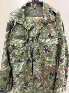 Item thumbnail for item 49c707ab-1eb9-44cf-a656-dcdb8daf360a