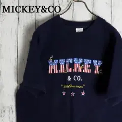 激レア90s USA製 MICKEY＆CO ミッキーマウス 星条旗ロゴ Tシャツ