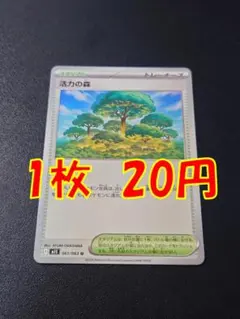 活力の森 【在庫14】