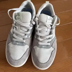 ナイキ　NIKE SB ALLEYOOP 25.5のサムネイル