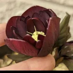 2026年最新】キラメキ クリスマスローズの人気アイテム - メルカリ