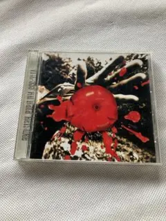 孤独の太陽 桑田佳祐