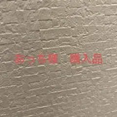 おっち様購入品