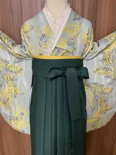 激安❗ 卒業式 新品 未使用 2点セット二尺袖 女袴 レトロ - メルカリ