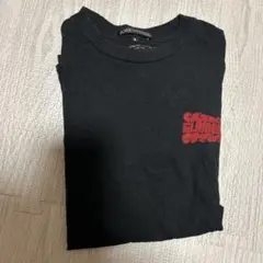 ヴィクセン　T