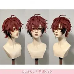 赤城ウェン コスプレ衣装 フルセット ウィッグつき - メルカリ