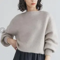 チャイニーズラクーン