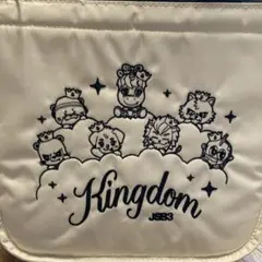 三代目　KINGDOM 保冷バッグ　JSB