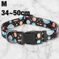 Item thumbnail for item cfa124fe-792f-4014-8e37-48a56a18a5c6