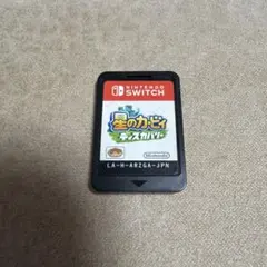 星のカービィ　ディスカバリー　switch ソフトのみ