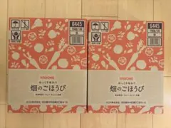 Item thumbnail for item 1469678c-aa23-41a2-9cb6-d47e2a09ee49