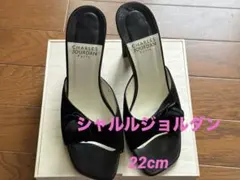 シャルルジョルダスゥエードサンダル 22cmのサムネイル