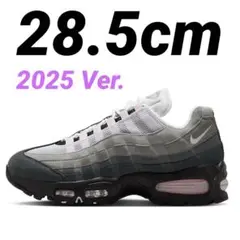 28.5 Nike Women's Air Max 95 Big Bubble