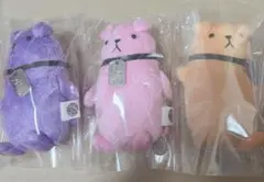 アライヌ セット