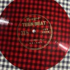 TEEN BEAT 2月号 特別インタビュー付き