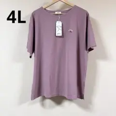 アーニーアーノルドパーマー カノコTシャツ 4L ピンク