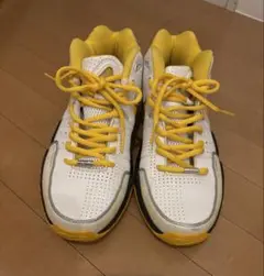 バスケットシューズ 26