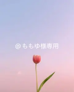 専用出品です。