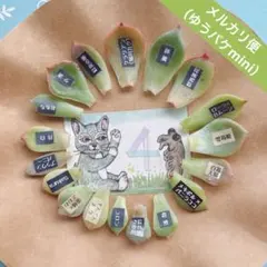 2025年最新】bee house 多肉の人気アイテム - メルカリ