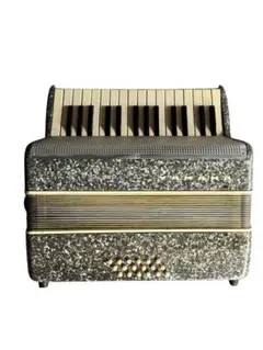 2025年最新】yamaha アコーディオンの人気アイテム - メルカリ