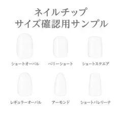【10枚】サイズ確認用クリアネイルチップ0番～9番　1種類