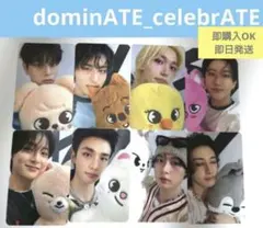 straykids スキズ ポップアップ 購入特典トレカ コンプ　⑥