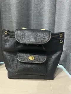 COACH ウィロウ ショルダー バッグ 2way ターンロック 黒 - メルカリ