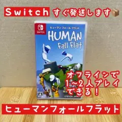 【Switch】ヒューマンフォールフラット