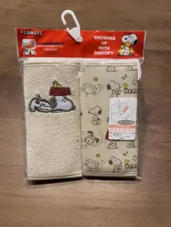 Item thumbnail for item 28d9ec25-4b50-49fa-8676-b750f6c0400f