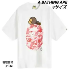 Item thumbnail for item 87c9fa12-ba1e-4dbb-8599-dd7cd01bec21