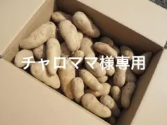 じゃがいも チャロママ様専用です。