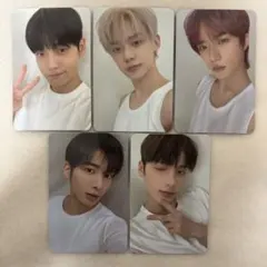 【181】txt thursday's child tear コンプ