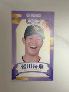 読売ジャイアンツ 皆川岳飛 えみくじ