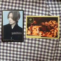 L'Arc-en-Ciel snow dropす