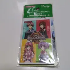 e-amusement pass qma