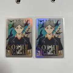 ホロ加工カード 2枚セット