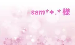 sam*✦.* 様専用•*¨*•.¸♬︎