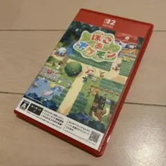 Nintendo Switch2用ソフト　ぽこあポケモン