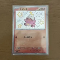 ホゲータ ポケモンカードゲーム