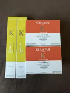 本日限定特価‼️【大人気】ケラスターゼ　フィジオドーズトリートメント ケラスターゼ売上No.1インサロントリートメント