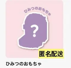 すみっコぐらし ひみつのおもちゃ(シークレット) ハッピーセット